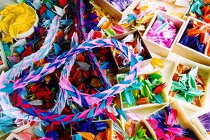 ガチャガチャの森：多彩なラインナップと親切なサービスを誇る日本一のガチャガチャ専門店