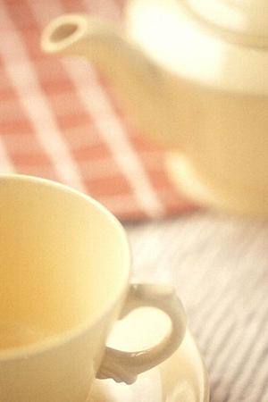 ガチャガチャの森：子供から大人まで楽しめるおもちゃの宝庫